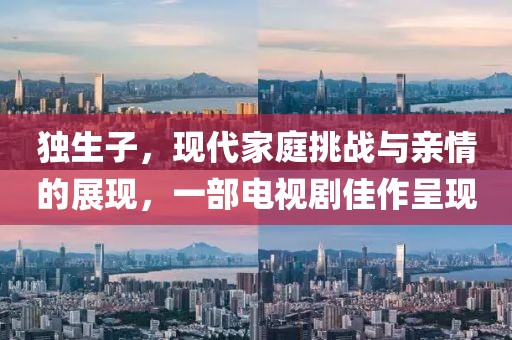 独生子，现代家庭挑战与亲情的展现，一部电视剧佳作呈现