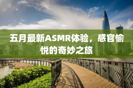 五月最新ASMR体验，感官愉悦的奇妙之旅