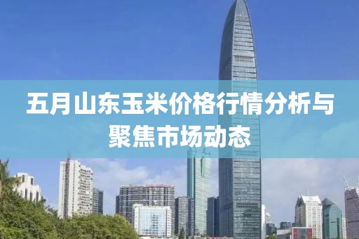 五月山东玉米价格行情分析与聚焦市场动态