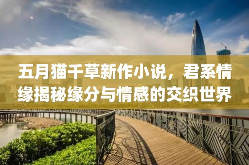 五月猫千草新作小说，君系情缘揭秘缘分与情感的交织世界