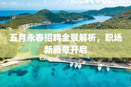 五月永春招聘全景解析，职场新篇章开启
