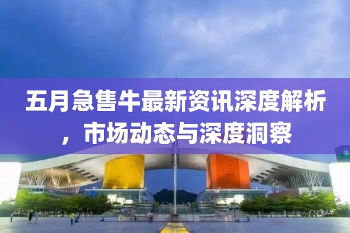 五月急售牛最新资讯深度解析，市场动态与深度洞察