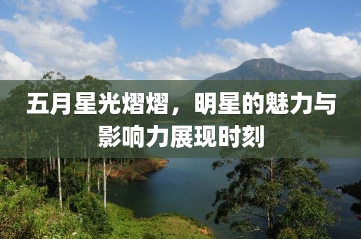 五月星光熠熠，明星的魅力与影响力展现时刻