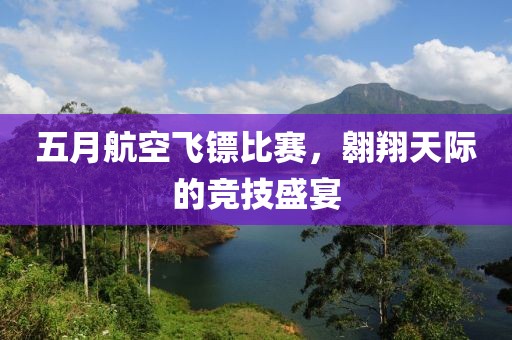 五月航空飞镖比赛，翱翔天际的竞技盛宴