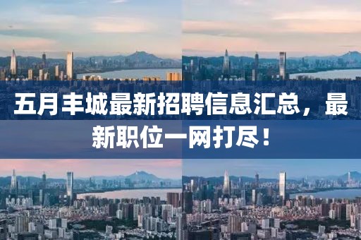 五月丰城最新招聘信息汇总，最新职位一网打尽！