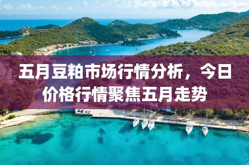五月豆粕市场行情分析，今日价格行情聚焦五月走势