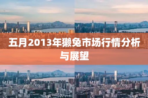 五月2013年獭兔市场行情分析与展望