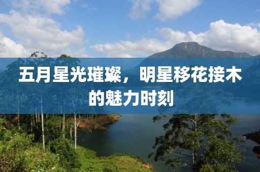 五月星光璀璨，明星移花接木的魅力时刻