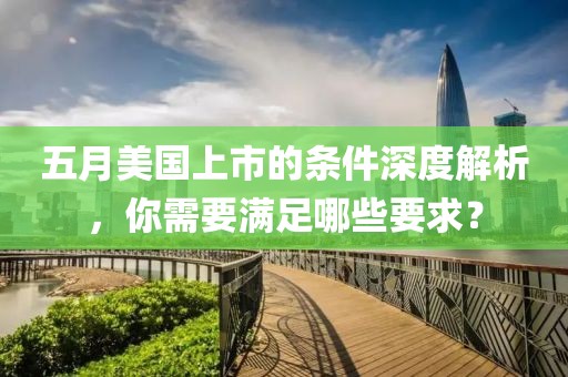 五月美国上市的条件深度解析，你需要满足哪些要求？