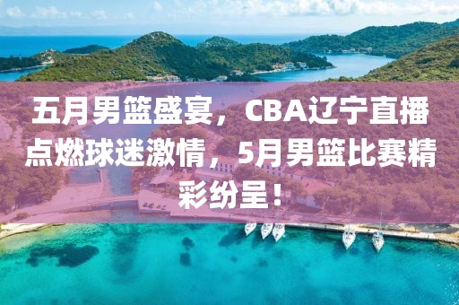 五月男篮盛宴，CBA辽宁直播点燃球迷激情，5月男篮比赛精彩纷呈！