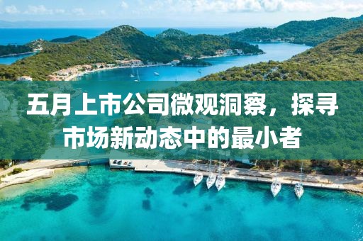 五月上市公司微观洞察，探寻市场新动态中的最小者