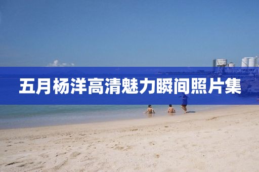 五月杨洋高清魅力瞬间照片集