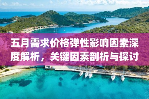 五月需求价格弹性影响因素深度解析，关键因素剖析与探讨