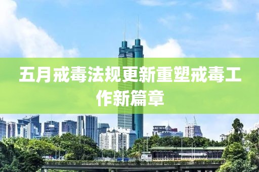 五月戒毒法规更新重塑戒毒工作新篇章