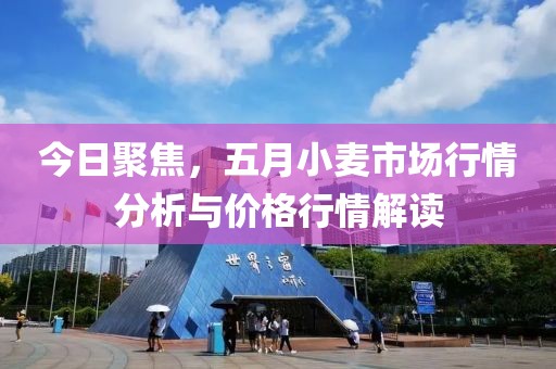 今日聚焦，五月小麦市场行情分析与价格行情解读