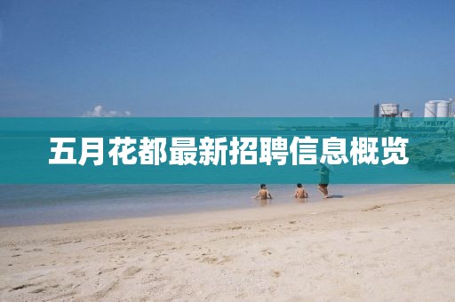 五月花都最新招聘信息概览