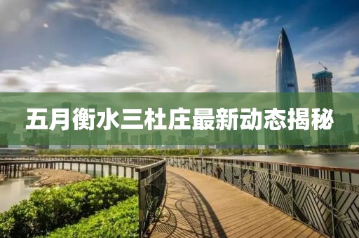 五月衡水三杜庄最新动态揭秘
