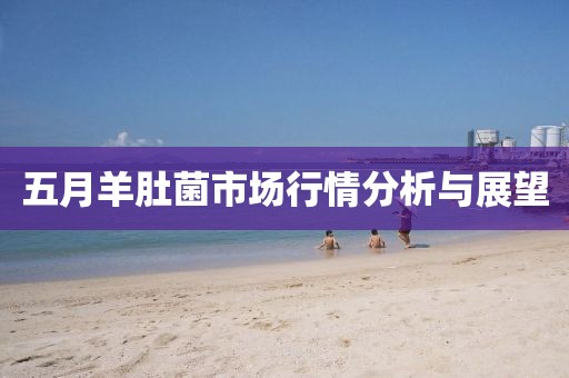 五月羊肚菌市场行情分析与展望