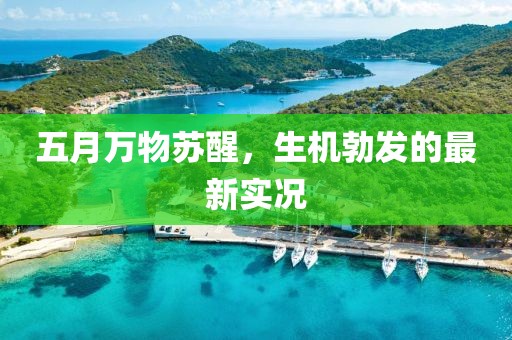 五月万物苏醒，生机勃发的最新实况