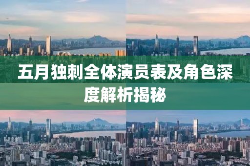 五月独刺全体演员表及角色深度解析揭秘