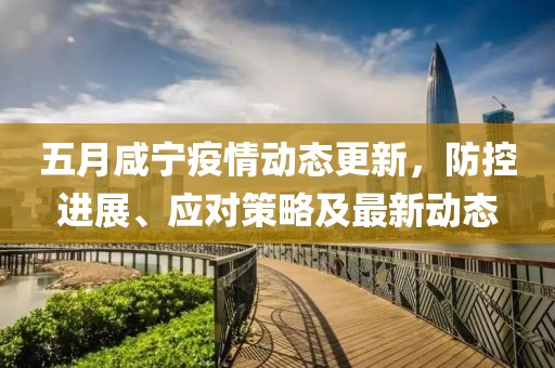 五月咸宁疫情动态更新，防控进展、应对策略及最新动态