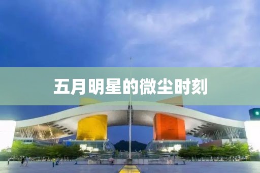五月明星的微尘时刻