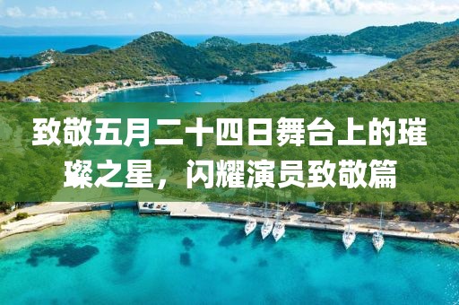致敬五月二十四日舞台上的璀璨之星，闪耀演员致敬篇