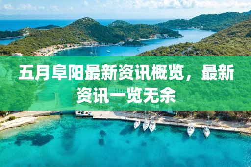 五月阜阳最新资讯概览，最新资讯一览无余