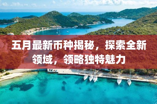 五月最新币种揭秘，探索全新领域，领略独特魅力