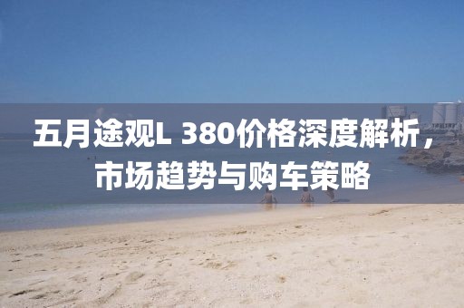 五月途观L 380价格深度解析，市场趋势与购车策略
