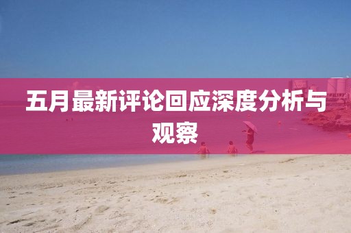 五月最新评论回应深度分析与观察