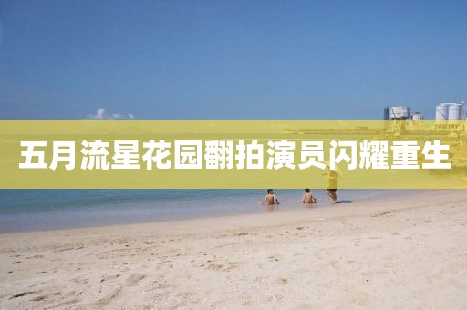 五月流星花园翻拍演员闪耀重生