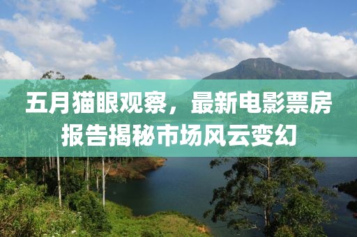 五月猫眼观察，最新电影票房报告揭秘市场风云变幻