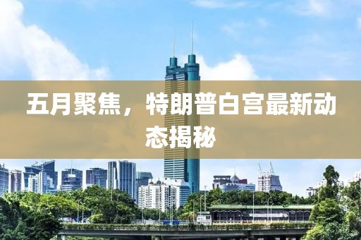 五月聚焦，特朗普白宫最新动态揭秘