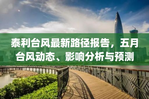 泰利台风最新路径报告，五月台风动态、影响分析与预测