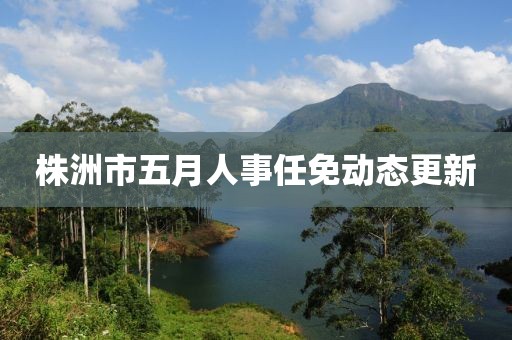 株洲市五月人事任免动态更新