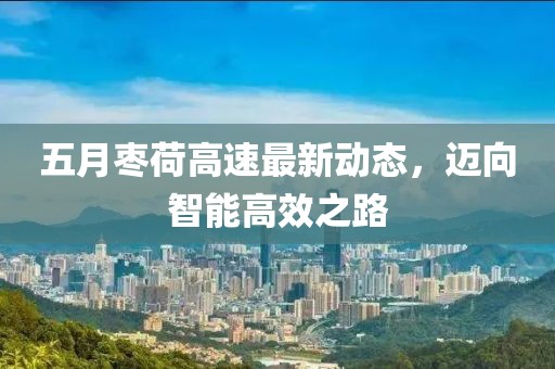 五月枣荷高速最新动态，迈向智能高效之路