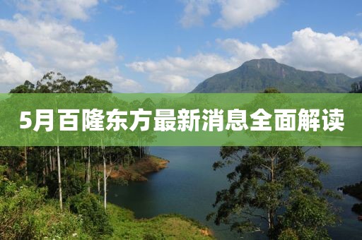 5月百隆东方最新消息全面解读