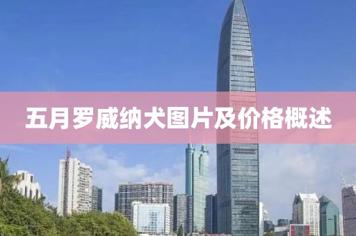 五月罗威纳犬图片及价格概述