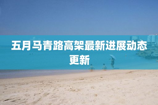 五月马青路高架最新进展动态更新