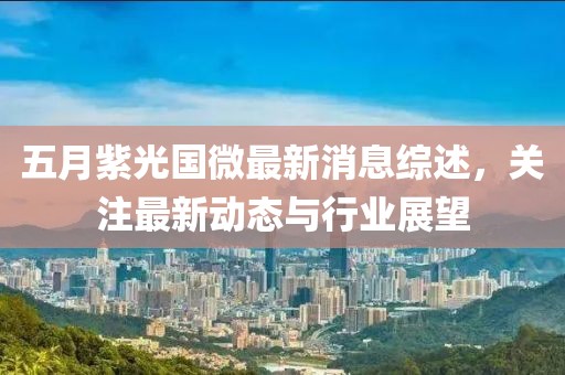 五月紫光国微最新消息综述，关注最新动态与行业展望