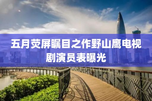 五月荧屏瞩目之作野山鹰电视剧演员表曝光