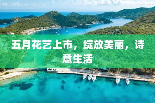 五月花艺上市，绽放美丽，诗意生活