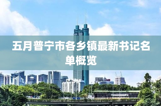 五月普宁市各乡镇最新书记名单概览