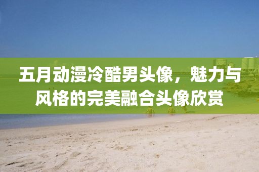 五月动漫冷酷男头像，魅力与风格的完美融合头像欣赏