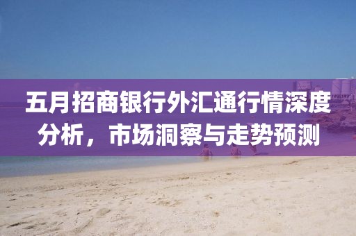 五月招商银行外汇通行情深度分析，市场洞察与走势预测