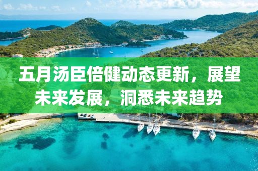 五月汤臣倍健动态更新，展望未来发展，洞悉未来趋势