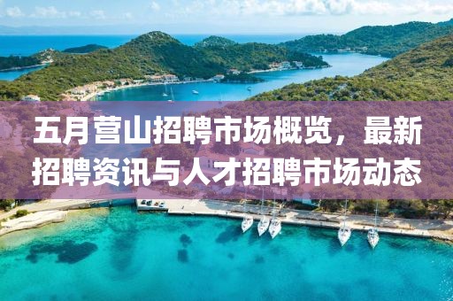 五月营山招聘市场概览，最新招聘资讯与人才招聘市场动态
