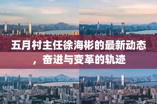 五月村主任徐海彬的最新动态，奋进与变革的轨迹