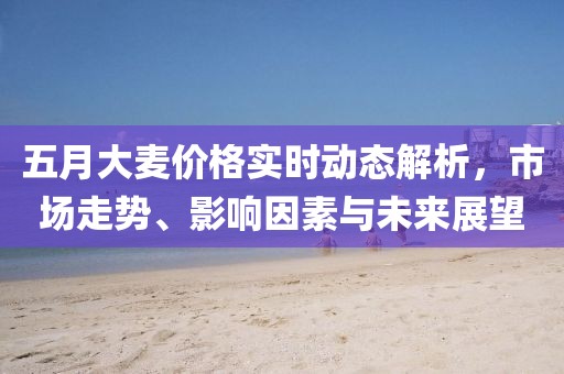 五月大麦价格实时动态解析，市场走势、影响因素与未来展望